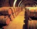 Wine barels in the basement Royalty Free Stock Photo
