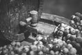 Vintage wine barrel in wine cellar with vine grapes Royalty Free Stock Photo
