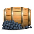 Wine barrel and grapevine on white background