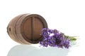 Wine barrel and Lavender on white background Royalty Free Stock Photo
