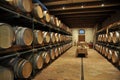 Wine barrel rack Royalty Free Stock Photo