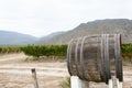 Wine Barrel in Vineyard - Cafayate