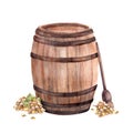 Wine barrel with winemaking accessories, crusher, leaves, grapes. Watercolor hand draw illustration Royalty Free Stock Photo