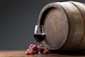 Wine with barrel Royalty Free Stock Photo