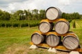 Oak wine barrels Royalty Free Stock Photo