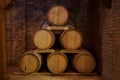 Wine barrels Royalty Free Stock Photo