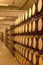 Wine barrels in an aging cellar