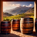 Wine barrels and casks against touristic vineyard wine farm