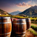 Wine barrels and casks against touristic vineyard wine farm