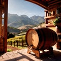 Wine barrels and casks against touristic vineyard wine farm