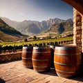 Wine barrels and casks against touristic vineyard wine farm