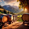 Wine barrels and casks against touristic vineyard wine farm