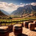 Wine barrels and casks against touristic vineyard wine farm