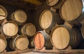 Wine barrels in Cellar of Syrah, Elqui Valley, Andes, Chile