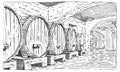 Wine barrels in cellar vintage old looking vector illustration engraved, hand drawn scratchboard style