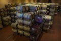 Wine barrels in the cellar of the winery. Wine barrels in wine vaults. Producer: Antinori Bolgheri, Tuscany, Italy