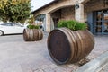 Wine barrels with flowers growing in them near the entrance to the Psagot winery in Samaria region in Benjamin district, Israel