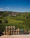 Wine barrels in Italy