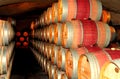 Wine barrels stacked in a cellar aging into perfection Royalty Free Stock Photo