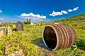 Wine barrels on Stari Grad plain Royalty Free Stock Photo