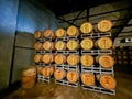 Wine barrels in the store room of SULA wine yard at Nashik, Maharashtra, India Royalty Free Stock Photo