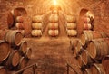 Wine barrels in wine-vaults