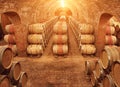 Wine barrels in wine-vaults