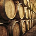 Wine barrels in wine-vaults in order Royalty Free Stock Photo