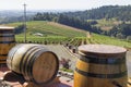 Wine Barrels in Vineyard Royalty Free Stock Photo