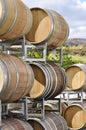 Wine barrels at vineyard Royalty Free Stock Photo