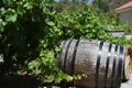 Wine barrels Wine barrels and Vineyards wine barrels Royalty Free Stock Photo