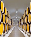 Wine barrels in a warehouse of the winery