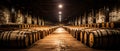 Wine Barrels in a Winery Cellar Royalty Free Stock Photo