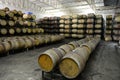 Wine barrels at the winery Viu Manent. Royalty Free Stock Photo