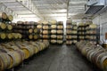 Wine barrels at the winery Viu Manent. Royalty Free Stock Photo