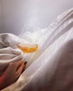 Wine in bed Royalty Free Stock Photo