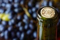 Wine bottle Royalty Free Stock Photo