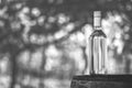 Wine bottle on the barrel with a blur background in the hungarian vineyard