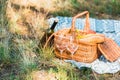 wine bottle basket with loaves on grass