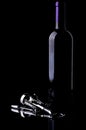 Wine Bottle and Chrome Corkscrew on Black