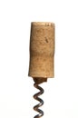 Wine bottle cork Royalty Free Stock Photo