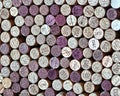 Wine bottle corks