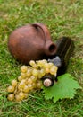 Wine bottle, crock and grape Royalty Free Stock Photo