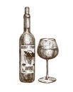Wine bottle and glass. Alcoholic drink. Vintage sketch vector