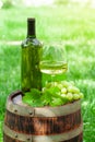 Wine bottle, glass and grape vine on old wine barrel Royalty Free Stock Photo
