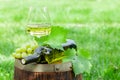 Wine bottle, glass and grape vine on old wine barrel Royalty Free Stock Photo