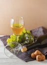 Wine bottle, glass, grapes on table. copyspace Royalty Free Stock Photo