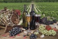 Wine bottle, glass of wine and grapes. white and red wine on an old wooden table, against a background of a vineyards vine Royalty Free Stock Photo