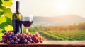 Wine bottle and glass of red wine on vineyard background. Royalty Free Stock Photo