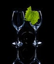 Wine bottle and glass. Royalty Free Stock Photo